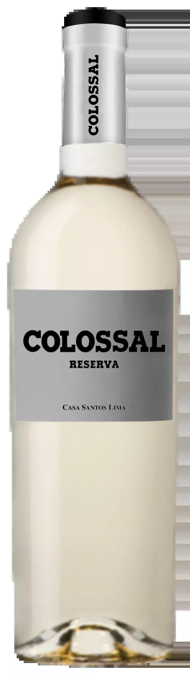 Colossal White Blend